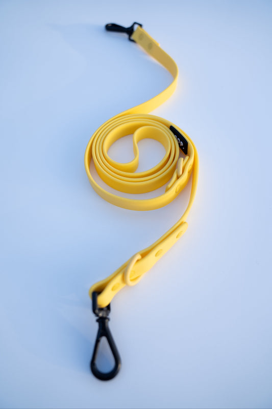 THE LEAD - YELLOW