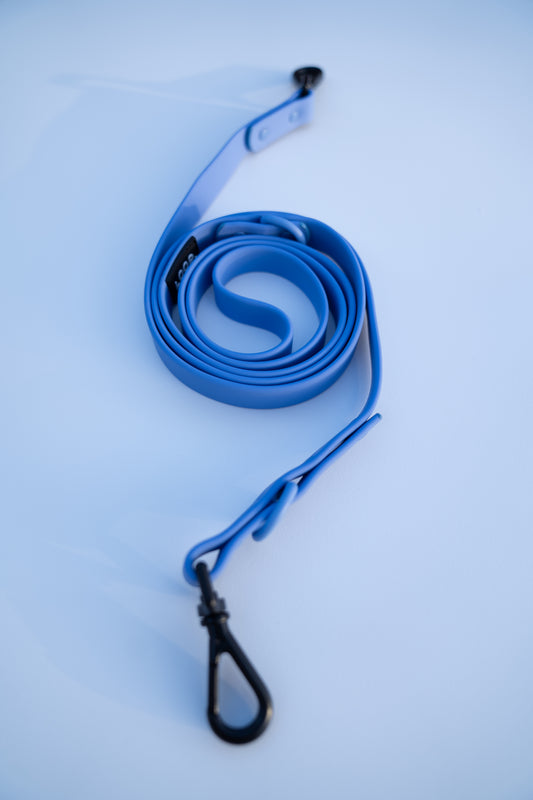 THE LEAD - BLUE