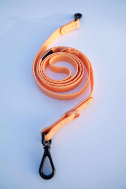 THE LEAD - PEACH