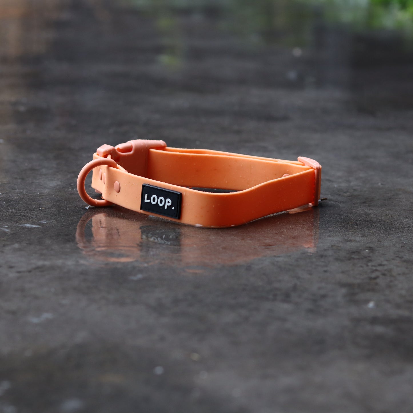 THE COLLAR - PEACH